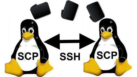 Копирование файлов через SSH